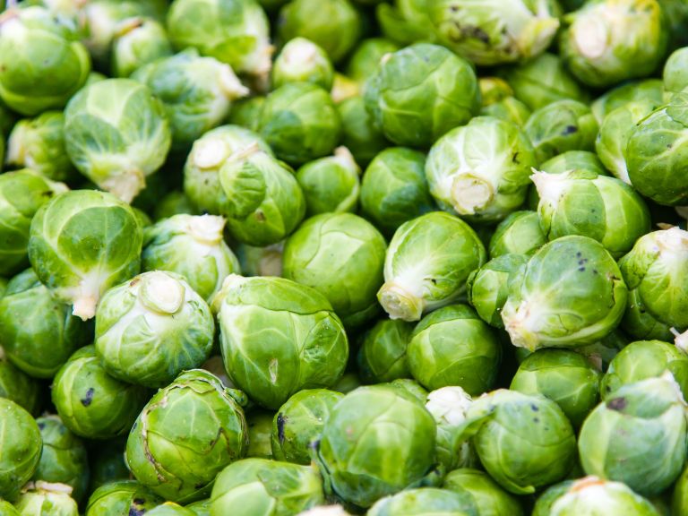 Brussel Sprouts